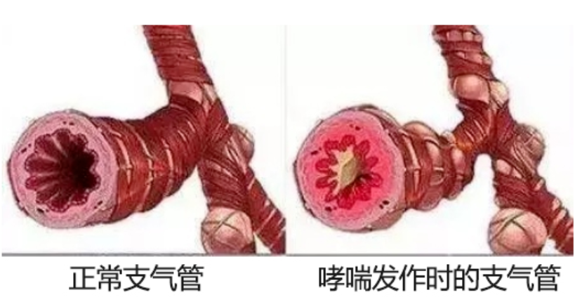 &#36125;&#21338;&#38598;&#22242;&#23448;&#32593;&#40;&#20013;&#22269;&#41;&#23448;&#26041;&#32593;&#31449;