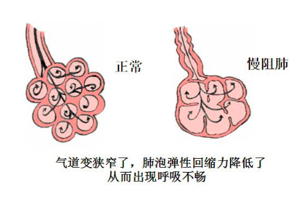 &#36125;&#21338;&#38598;&#22242;&#23448;&#32593;&#40;&#20013;&#22269;&#41;&#23448;&#26041;&#32593;&#31449;