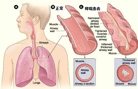 &#36125;&#21338;&#38598;&#22242;&#23448;&#32593;&#40;&#20013;&#22269;&#41;&#23448;&#26041;&#32593;&#31449;
