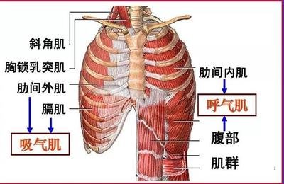 &#36125;&#21338;&#38598;&#22242;&#23448;&#32593;&#40;&#20013;&#22269;&#41;&#23448;&#26041;&#32593;&#31449;