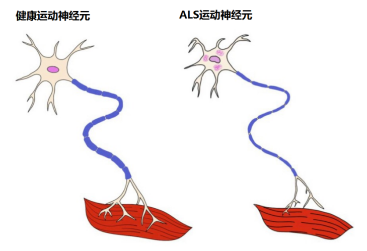 &#36125;&#21338;&#38598;&#22242;&#23448;&#32593;&#40;&#20013;&#22269;&#41;&#23448;&#26041;&#32593;&#31449;