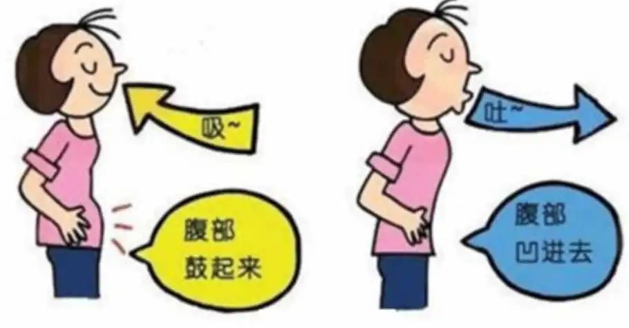 &#36125;&#21338;&#38598;&#22242;&#23448;&#32593;&#40;&#20013;&#22269;&#41;&#23448;&#26041;&#32593;&#31449;