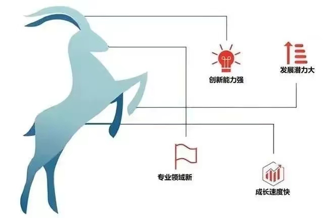 &#36125;&#21338;&#38598;&#22242;&#23448;&#32593;&#40;&#20013;&#22269;&#41;&#23448;&#26041;&#32593;&#31449;